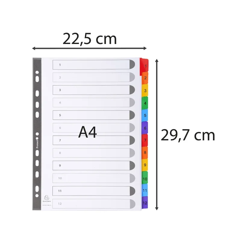 Exacompta elválasztólapok kartonból, A4, 1-12