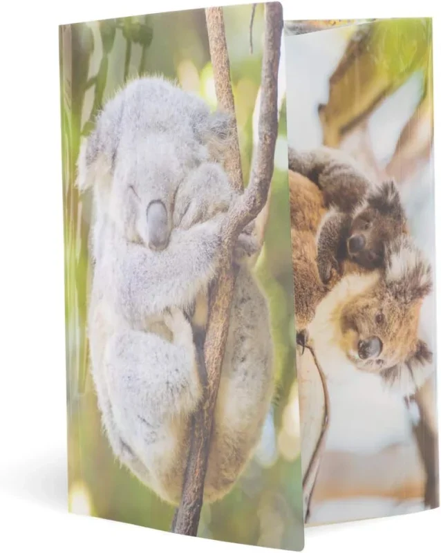 Herma gumis mappa A4, PP, fényes, koala