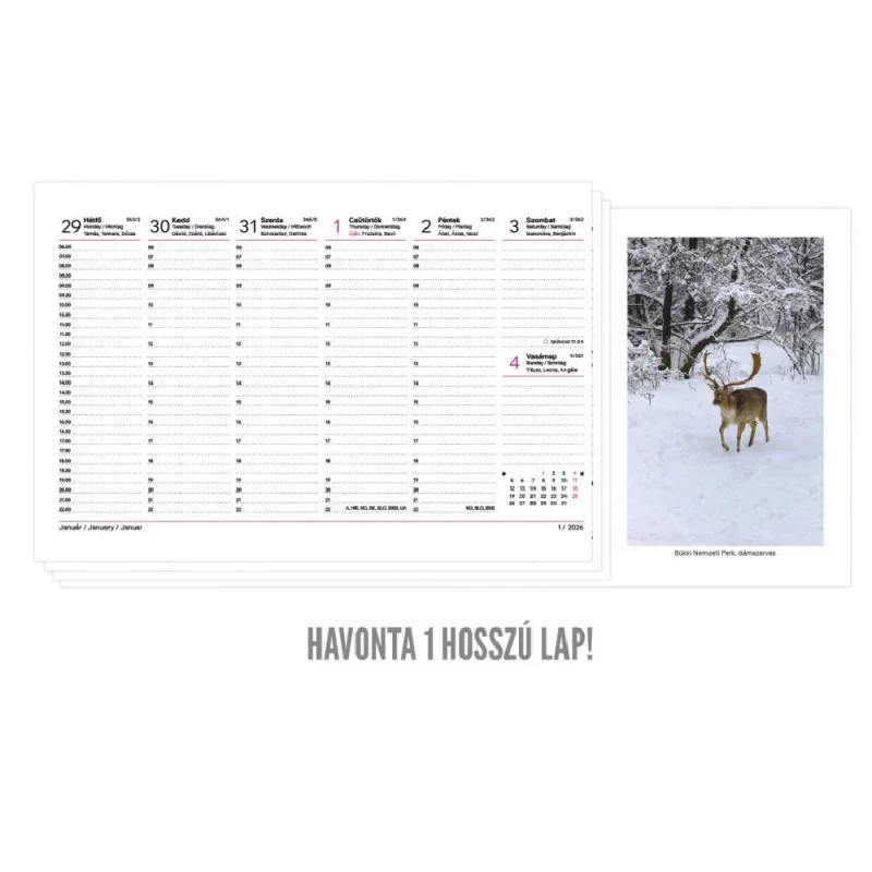 TopTimer T054 NEMZETI PARK Álló asztali naptár 2026, BORDÓ