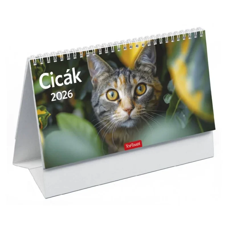 TopTimer T058 Álló asztali naptár 2026, CICÁK