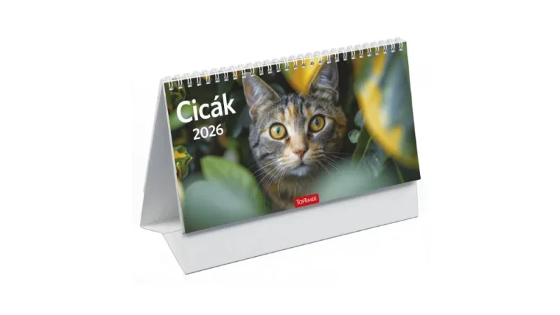 TopTimer T058 Álló asztali naptár 2026, CICÁK