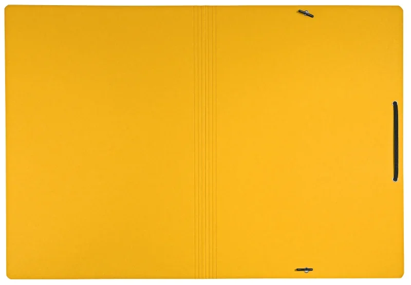 Leitz gumis mappa, A4, karton, sárga, Recycle