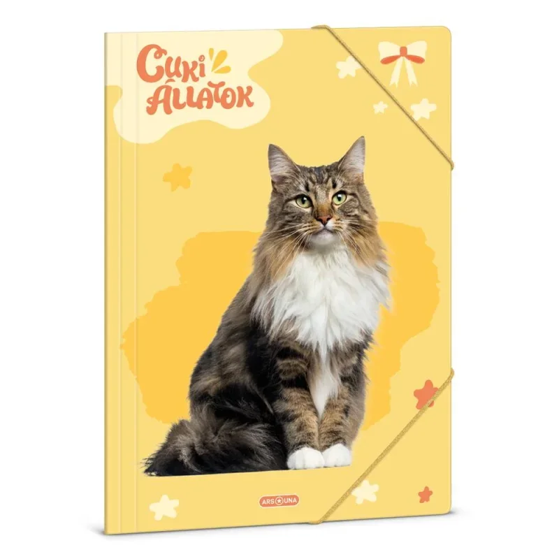 Ars Una A4 Gumis mappa Cuki-Norvég erdei macska (5429) 24