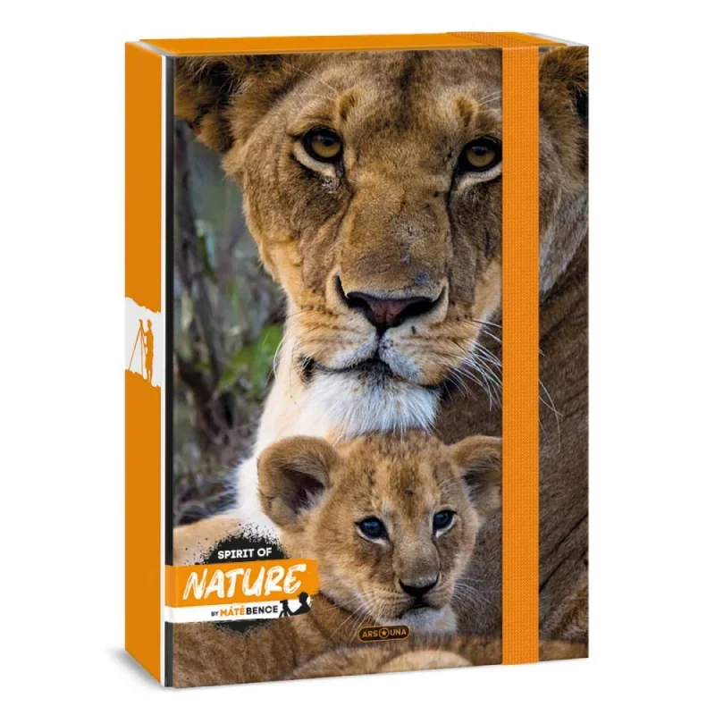 Ars Una A4 füzetbox Máté Bence-Lion (5433) 24
