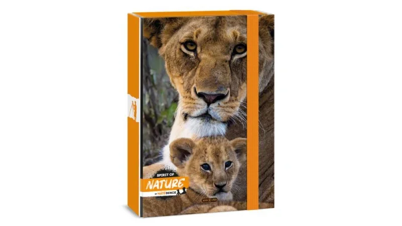 Ars Una A4 füzetbox Máté Bence-Lion (5433) 24