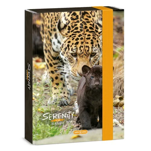 Ars Una A5 füzetbox Serenity-jaguar (5334) 23