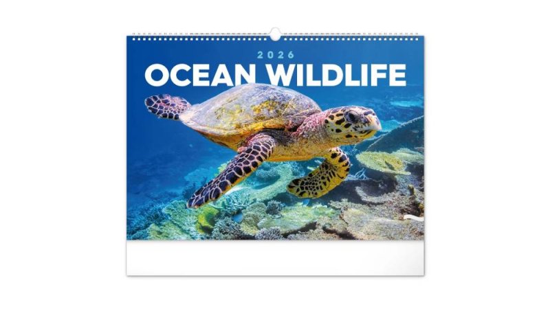 6094-OC Reálszisztéma Falinaptár Ocean Wildlife 48 × 33 cm (2026)