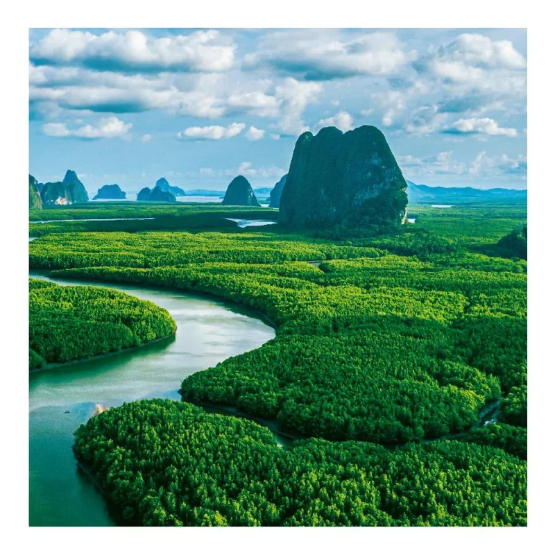 6097-OP Reálszisztéma Lemeznaptár Our Planet 30 x 30 cm (2026)